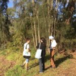 Fishermans Paradise Eco-walk - FAQ