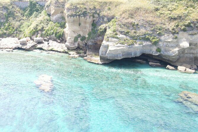 Fishing, Snorkelling & Dolphin Boat Tour - Who Will Appreciate This Tour?