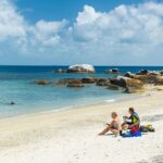 Fitzroy Island Day Tour from Cairns - Deep Dive: The Value of This Tour
