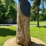 Fitzroy & Treasury Gardens Melbourne Walking Tour - Who Is This Tour Best For?