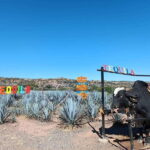 Five-star factory: Meet Orendain tequila. - An In-Depth Look at the Orendain Tequila Tour