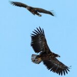 Fjord & History Cruise - Who Should Consider This Tour?