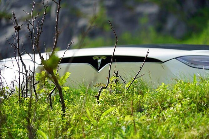 Fjord Sightseeing - Eco friendly Tesla Model X - Final Thoughts