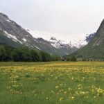 Fjords: Private Trip with Train and Cruise Ride - An In-Depth Look at the Fjords Private Trip
