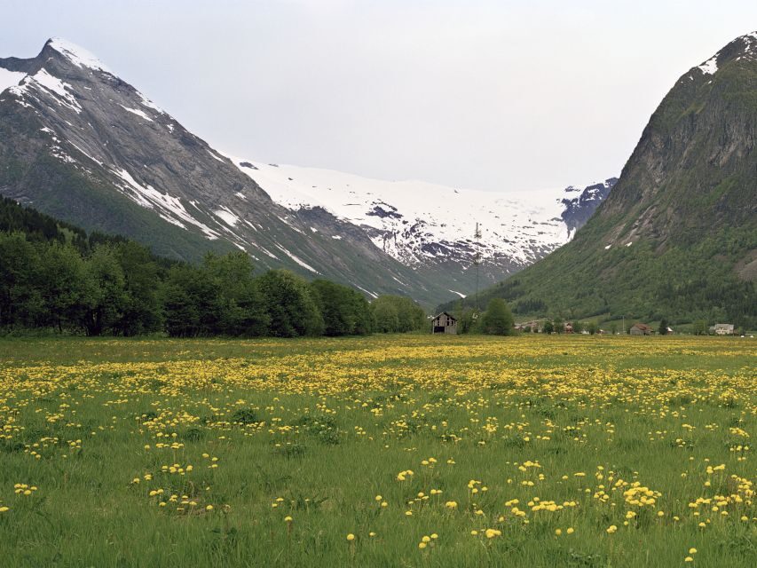 Fjords: Private Trip with Train and Cruise Ride - An In-Depth Look at the Fjords Private Trip