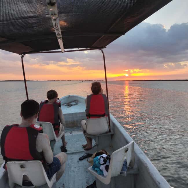 Flamingo tour Rio Lagartos, Yucatan 2 hours - Who Should Consider This Tour?
