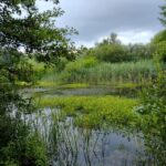 Flanders Day Tour with Turnhout, Hoogstraten & Kasterlee - The Value of the Experience