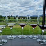 Flavour of the Yarra Valley Private Experience - Detailed Breakdown of the Itinerary