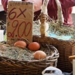 Flavours of Turin Walking Tour - A Deep Dive into the Flavours of Turin Walking Tour