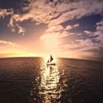Flight of Aloha Flying Ride Pass - Authentic Feedback and What It Means for You