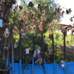 "Floating Party in Xochimilco: Canals, Tequila, and Tradition" - The Value of the Experience
