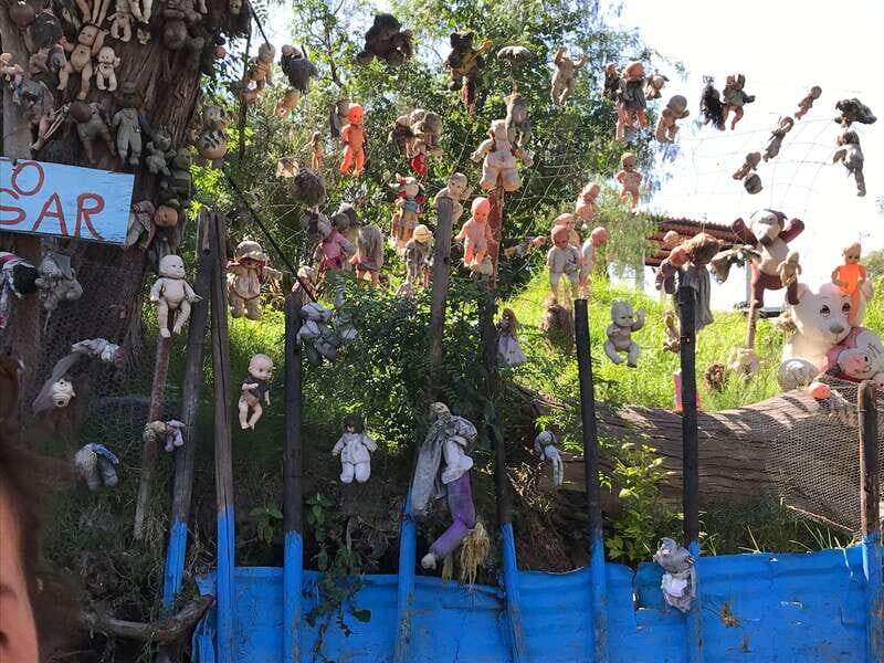 "Floating Party in Xochimilco: Canals, Tequila, and Tradition" - The Value of the Experience