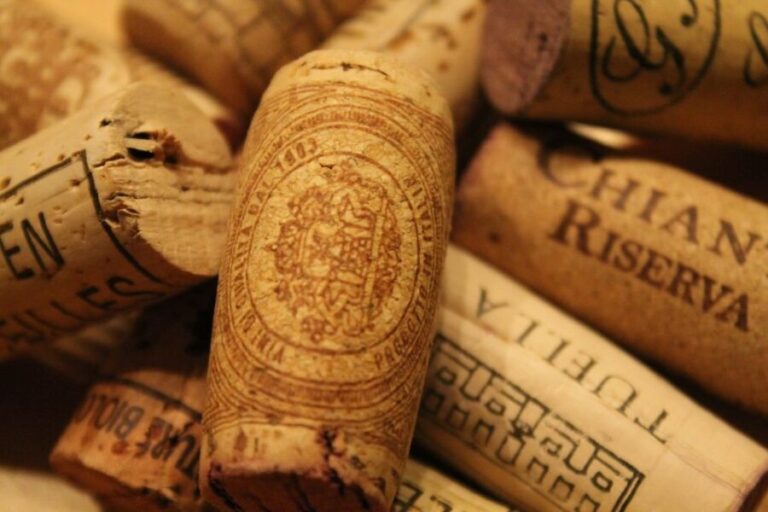 Florence: History Walking Tour with Wine Tasting - The Pros and Cons