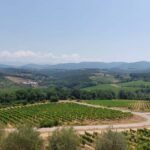 Florence like a local wine teasting - Why This Tour Offers Great Value