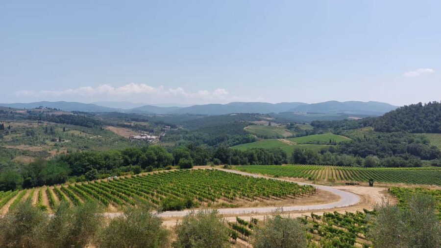 Florence like a local wine teasting - Why This Tour Offers Great Value