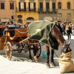 Florence Private WALKING TOUR - Who Would Love This Tour?