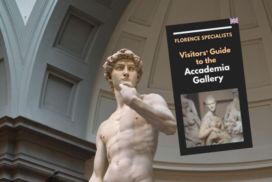 Florence: Timed Entry Ticket to Michelangelo's David & eBook - Who Will Benefit Most?