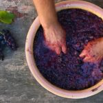 Florence: Wine Making Private Experience In a Vineyard in Tuscany - Practical Details & Considerations