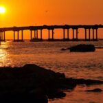 Florida: Emerald Coast Sunset & Dolphin Cruise with Guide - A Detailed Look at the Emerald Coast Sunset & Dolphin Cruise