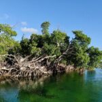 Florida Keys Backcountry Eco Tour from Big Pine Key - Who Will Love This Tour?