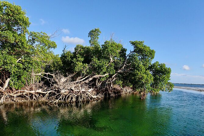 Florida Keys Backcountry Eco Tour from Big Pine Key - Who Will Love This Tour?