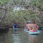 Florida Keys: Full-Day Kayak + Snorkel Coral Reef Adventure - Practical Details and What to Expect