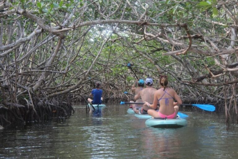 Florida Keys: Full-Day Kayak + Snorkel Coral Reef Adventure - Practical Details and What to Expect