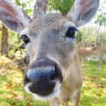 Florida Keys Nature & History Tour from Key West - FAQs