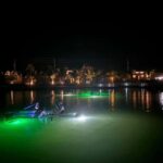 Florida: Sharkey's Guided Fish Feeding LED Night Tour - An Authentic Night Paddle in Venice, FL