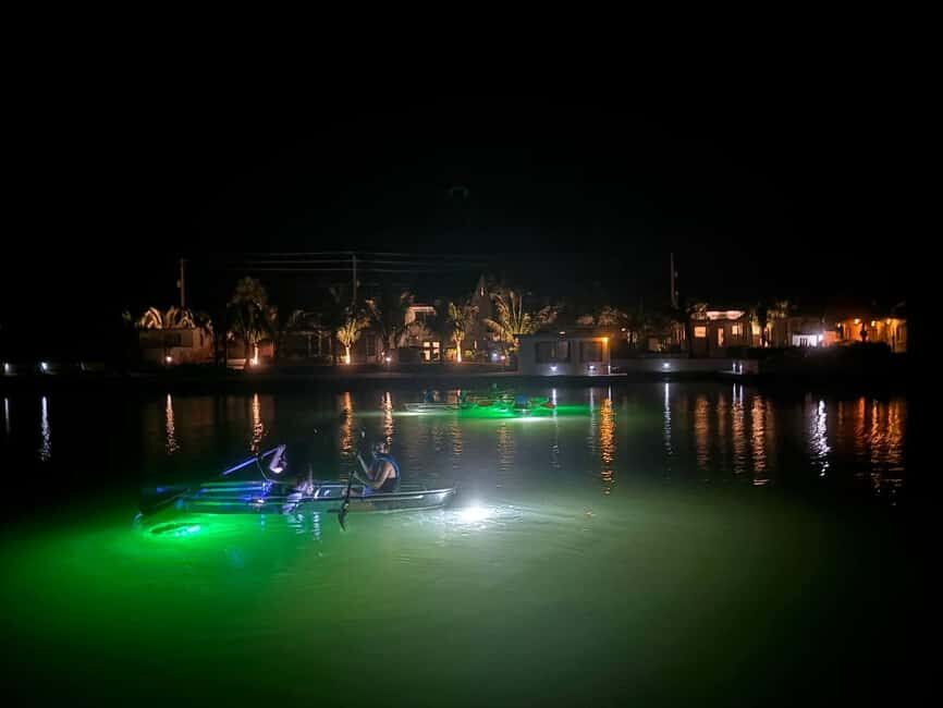 Florida: Sharkey's Guided Fish Feeding LED Night Tour - An Authentic Night Paddle in Venice, FL