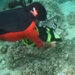 Flotation Therapy - Rental Float Suits, Goggles, Headphones 24 hr - Price and Value: Is It Worth It?