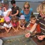 Föhr: Boat trip to the seals - Final Thoughts: Is This the Experience for You?