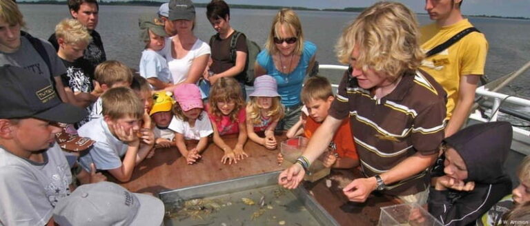 Föhr: Boat trip to the seals - Final Thoughts: Is This the Experience for You?