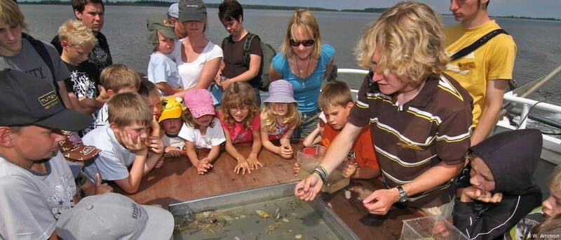 Föhr: Boat trip to the seals - Final Thoughts: Is This the Experience for You?