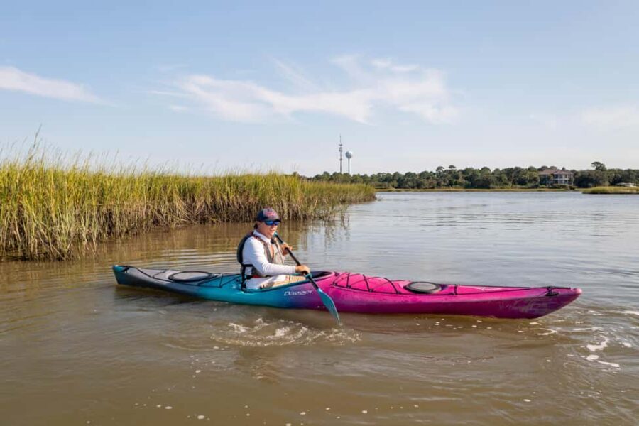 Folly Beach: Kayak Rental on the Folly River - Wildlife and Nature: Up Close and Personal