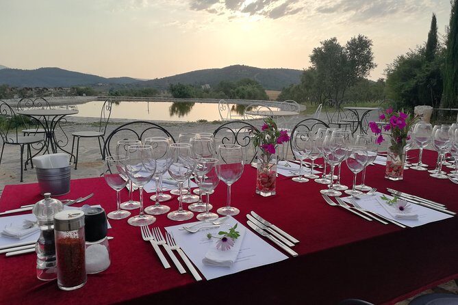 Food and Wine pairing Dinner at Karnas Vineyards Bodrum - Authentic Reviews and What They Highlight