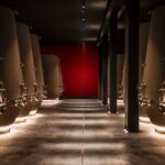 Food and Wine Tasting in Valpolicella - Practical Details and Value