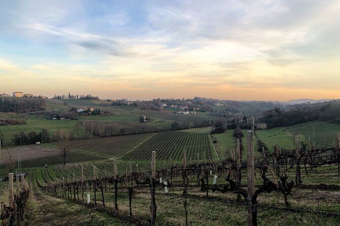 Food and Wine Tour on the Prosecco Hills from Venice - Exploring the Itinerary in Depth