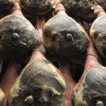 Food Excellences:Prosciutto, Parmigiano, Balsamic,Lunch,Transport - Final Thoughts