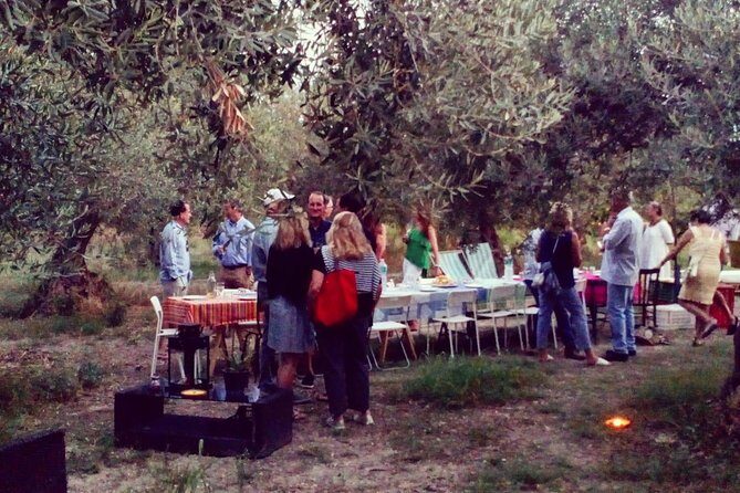 Food Experience at our Farm in Noto Hills - A Deep Dive into the Sicilian Farm Tour