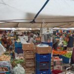 Food Market and Kayakoy "Ghost Town" Tour from Fethiye - Who will love this tour?
