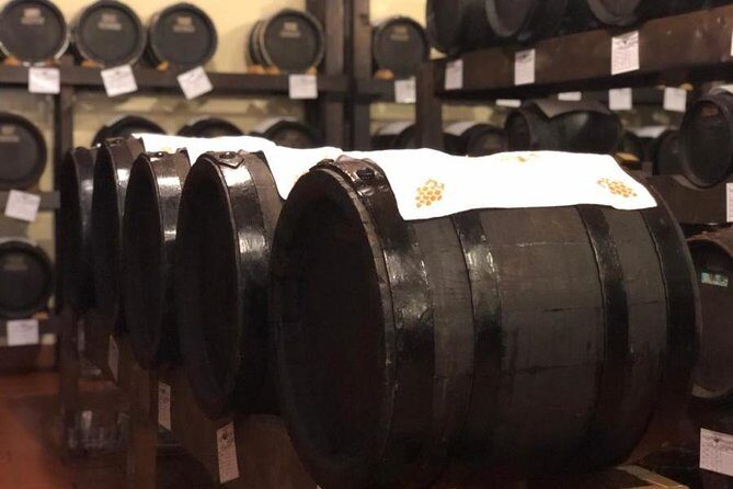 Food Tour: Parmigiano, Balsamic, Red Wine, lunch,transport - Lunch and Transportation