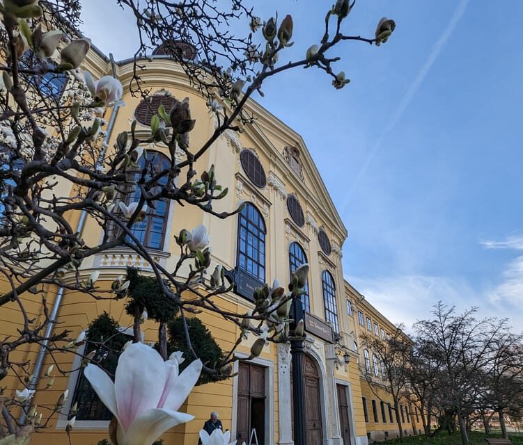 Food, Wine And Sightseeing Tour in Oradea, Romania - Who Should Consider This Tour?
