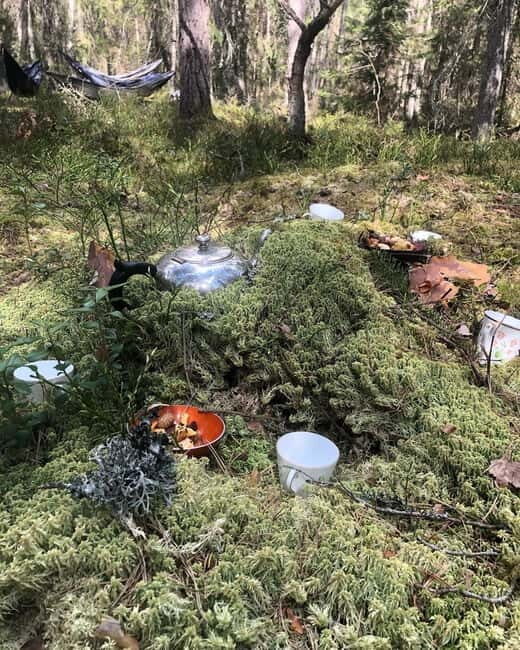 Forest Bathing in Stockholm nature with certified guide - Final Thoughts