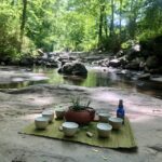 Forest Bathing & Nature Therapy Mini-Retreat - A Deep Dive into the Forest Bathing & Nature Therapy Retreat