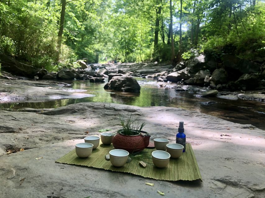 Forest Bathing & Nature Therapy Mini-Retreat - A Deep Dive into the Forest Bathing & Nature Therapy Retreat