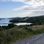 Forks, Focail and Folklore - Storytelling Tour via eBike - Who Will Love This Tour?