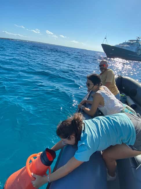 Formentera: 2-hour snorkel with marine biologist by boat - In-Depth Review of the Formentera Snorkel Tour