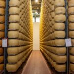 Formigine: Parmigiano tour with full tasting - An In-Depth Look at the Parmigiano Reggiano Tour