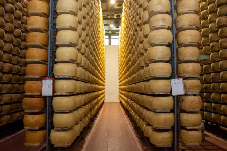 Formigine: Parmigiano tour with full tasting - An In-Depth Look at the Parmigiano Reggiano Tour